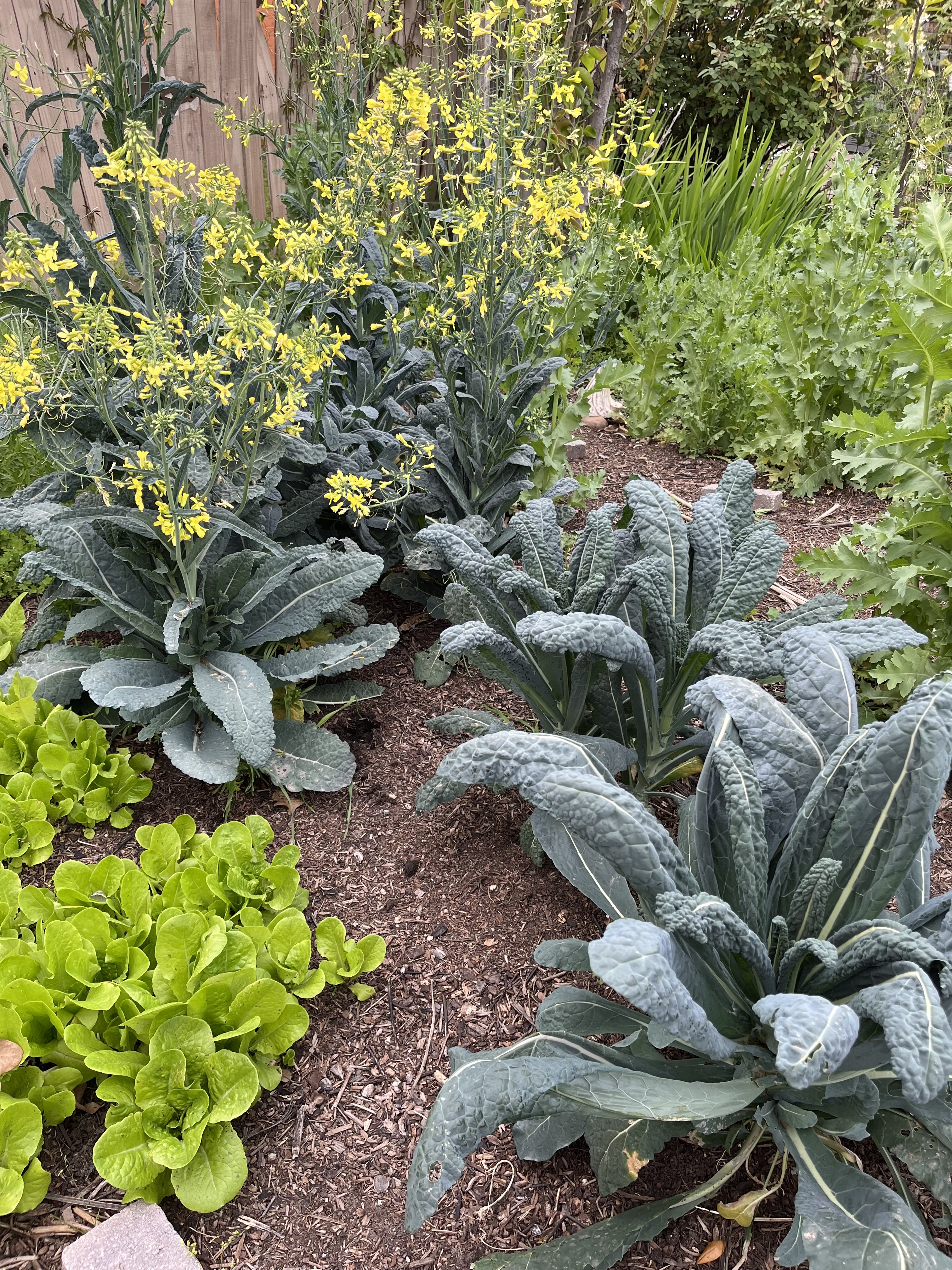 Winter in the Edible Garden